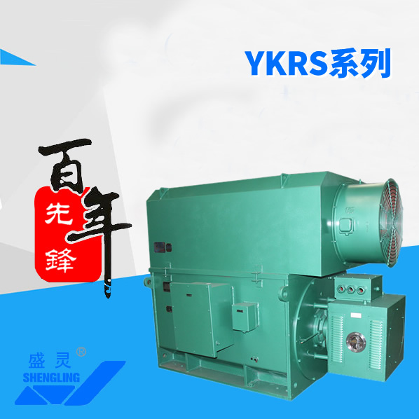 YKRS系列_YKRS系列生產(chǎn)廠家_YKRS系列直銷_維修-先鋒電機(jī)